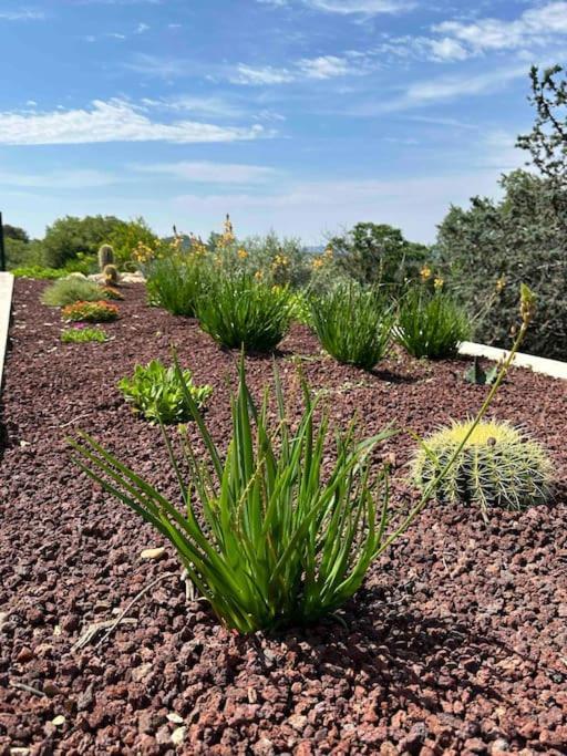 Vila Sous Le « Figuier » Cornillon-Confoux Exteriér fotografie